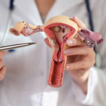 Comprar o produto de Ginecologista - Saúde Integral da Mulher - São Mateus em Clínica Médica em São Mateus, ES por Solutudo