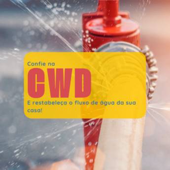 Comprar o produto de Limpeza de Vaso Sanitário em Bauru em Desentupidoras em Bauru, SP por Solutudo