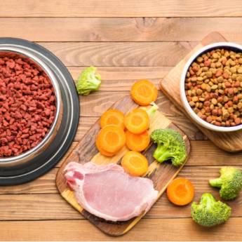 Comprar o produto de Rações de Alta Qualidade para Saúde e Bem-Estar do Seu Pet em Avaré em Rações para Cães e Gatos em Avaré, SP por Solutudo