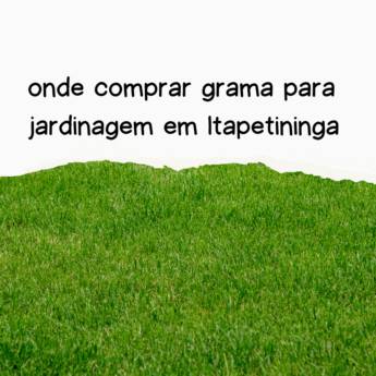 Comprar o produto de onde comprar grama para jardinagem em Itapetininga em Grama em Itapetininga, SP por Solutudo