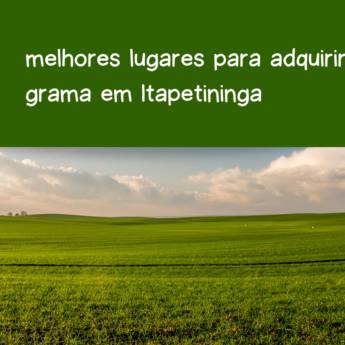Comprar o produto de melhores lugares para adquirir grama em Itapetininga em Grama em Itapetininga, SP por Solutudo