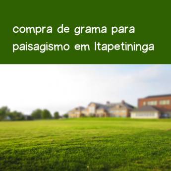 Comprar o produto de compra de grama para paisagismo em Itapetininga em Grama em Itapetininga, SP por Solutudo