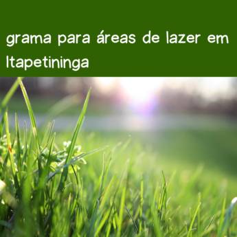 Comprar o produto de grama para áreas de lazer em Itapetininga em Grama em Itapetininga, SP por Solutudo