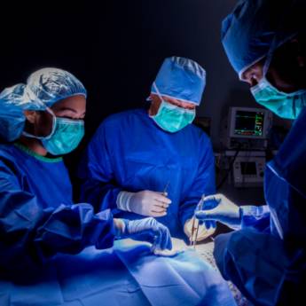 Comprar o produto de Cirurgia Ortopédica – Recuperação e Mobilidade em Avaré em Clínicas Veterinárias em Avaré, SP por Solutudo