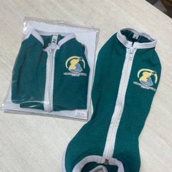 Comprar o produto de Roupa pós-operatório para cães em Acessórios para cães e gatos em Foz do Iguaçu, PR por Solutudo