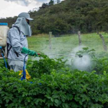 Comprar o produto de Aplicação de Herbicida em Instalações - Reparos em Botucatu, SP por Solutudo