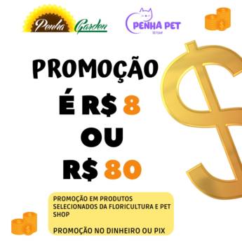 Comprar o produto de Promoção é R$8 ou R$80 em Pet Shop em São Paulo, SP por Solutudo
