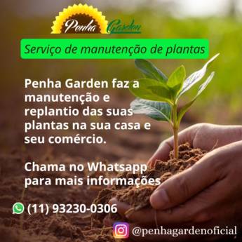 Comprar o produto de Serviços de Manutenção de Plantas em Floriculturas em São Paulo, SP por Solutudo