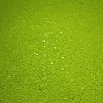 Comprar o produto de Stone Colors - Acabamento Cintilante e Moderno na Vila Formosa em São Paulo/SP em Revestimentos em São Paulo, SP por Solutudo