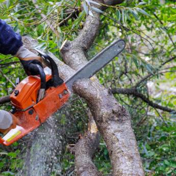 Comprar o produto de Moto Serra - Corte eficiente e seguro em Santa Bárbara Resort Residence/SP em Ferramentas pela empresa Piramak Locações de Ferramentas em Santa Bárbara Resort Residence, SP por Solutudo