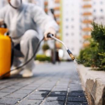 Comprar o produto de Dedetização em Instalações - Reparos em Botucatu, SP por Solutudo Comprar o produto de Dedetização em Instalações - Reparos em Botucatu, SP por Solutudo