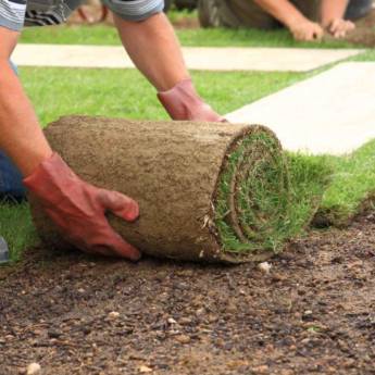 Comprar o produto de Gramas Esmeralda - Beleza e Qualidade para Seu Projeto - Avaré, SP em Construtores - Pedreiros em Avaré, SP por Solutudo
