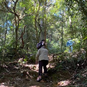Comprar o produto de Trilhas no Parque Estadual da Serra do Mar - Conexão com a Natureza em Cunha, SP em Viagens e Turismo em Cunha, SP por Solutudo