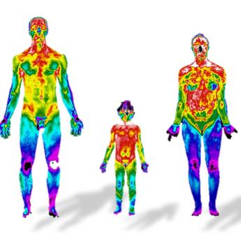 Comprar o produto de Avaliação Cinética Funcional em Fisioterapia em Aracaju, SE por Solutudo