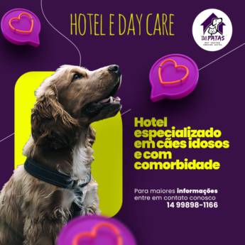 Comprar o produto de Hotel e Day Care para Cães Idosos e com Comorbidades em Bauru em Hotel e Canil em Bauru, SP por Solutudo