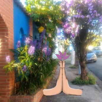 Comprar o produto de Aulas de HATHA YOGA em Yoga em São Bernardo do Campo, SP por Solutudo