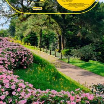 Comprar o produto de Dia dos Namorados: Faça sua Viagem dos Sonhos com a Blend Way Viagens! em Ofertas: Hotéis e Viagens pela empresa Blend Way Viagens em Mineiros, GO por Solutudo