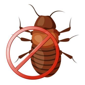 Comprar o produto de Descupinização – Proteção Contra Cupins em Santana de Parnaíba, SP. em Dedetização em Santana de Parnaíba, SP por Solutudo