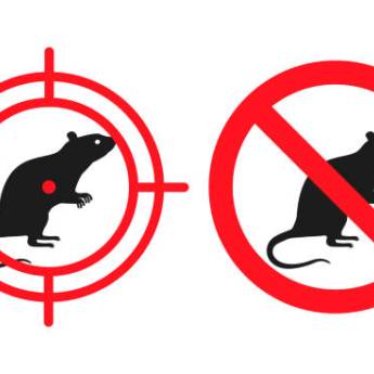 Comprar o produto de Desratização – Controle Eficiente de Roedores em Cajamar, SP em Dedetização em Santana de Parnaíba, SP por Solutudo