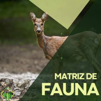 Comprar o produto de Matriz de Fauna em Consultoria Ambiental em Foz do Iguaçu, PR por Solutudo