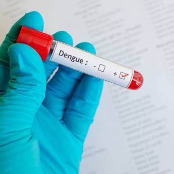 Comprar o produto de Teste de Dengue - Resultado Rápido e Confiável em Leopoldina, MG em Farmácias em Leopoldina, MG por Solutudo