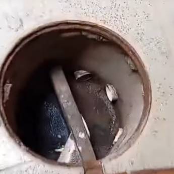 Comprar o produto de Desentupidora e Limpeza de Fossa em Mairiporã, SP – Desentupidora Fácil Ambiental em Desentupidoras em Franco da Rocha, SP por Solutudo Comprar o produto de Desentupidora e Limpeza de Fossa em Mairiporã, SP – Desentupidora Fácil Ambiental em Desentupidoras em Franco da Rocha, SP por Solutudo