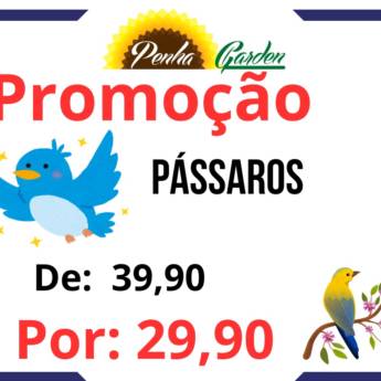Comprar o produto de Pássaros em Floriculturas em São Paulo, SP por Solutudo