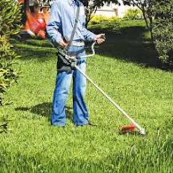 Comprar o produto de Limpeza de Terrenos em Jardinagem em Botucatu, SP por Solutudo