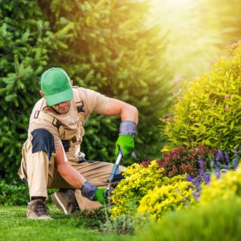 Comprar o produto de Manutenção de jardins  em Jardinagem em Botucatu, SP por Solutudo