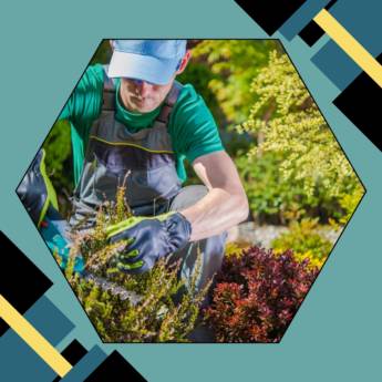 Comprar o produto de Jardinagem em Jardinagem em Botucatu, SP por Solutudo