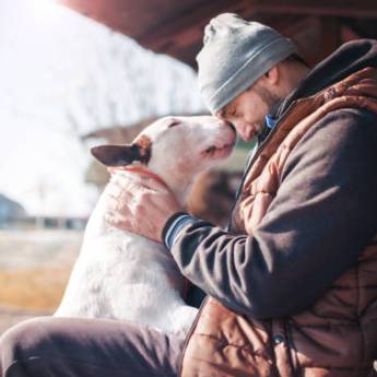 Comprar o produto de Adestramento de Cães em Juatuba em Adestramento em Mateus Leme, MG por Solutudo Comprar o produto de Adestramento de Cães em Juatuba em Adestramento em Mateus Leme, MG por Solutudo