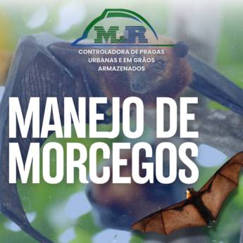 Comprar o produto de Manejo de Morcegos – Controle Seguro e Legalizado – Riviera de Santa Cristina V em Dedetizadoras em Riviera de Santa Cristina V, SP por Solutudo