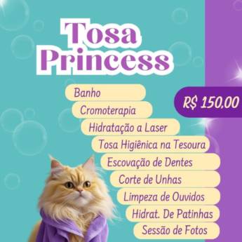 Comprar o produto de Tosa Princess Gato em Pet Shop em Botucatu, SP por Solutudo