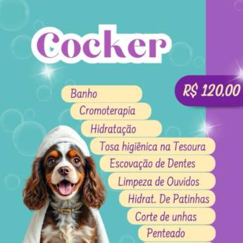 Comprar o produto de Cocker em Pet Shop em Botucatu, SP por Solutudo