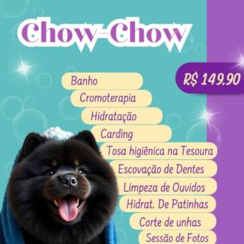 Comprar o produto de Chow Chow em Pet Shop em Botucatu, SP por Solutudo