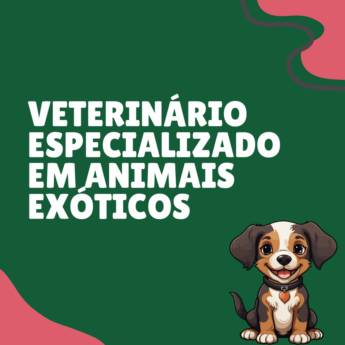 Comprar o produto de veterinário especializado em animais exóticos em Itapetininga em Veterinário em Itapetininga, SP por Solutudo