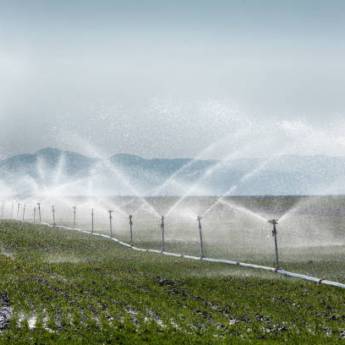 Comprar o produto de Aspersão e Gotejamento para Irrigação em Riviera - SP em Irrigação em Riviera de Santa Cristina XIII, SP por Solutudo