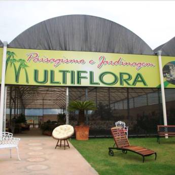 Comprar o produto de Plantas para Paisagismo e Jardinagem em Santa Bárbara em Plantas em Iaras, SP por Solutudo