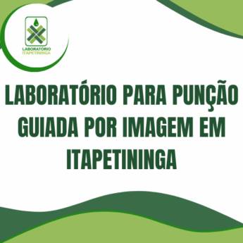 Comprar o produto de laboratório para punção guiada por imagem em Itapetininga em Exames  em Itapetininga, SP por Solutudo