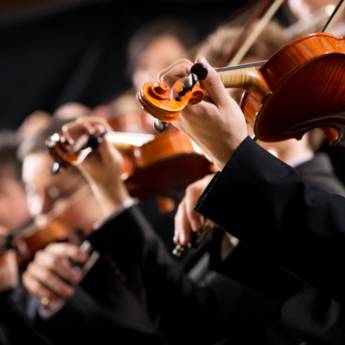 Comprar o produto de Cursos de Cordas, Tecla, Canto, Sopro e Percussão em Carapicuíba – Aulas Completas com Instrumentos Inclusos em Escolas de Música em Carapicuíba, SP por Solutudo Comprar o produto de Cursos de Cordas, Tecla, Canto, Sopro e Percussão em Carapicuíba – Aulas Completas com Instrumentos Inclusos em Escolas de Música em Carapicuíba, SP por Solutudo