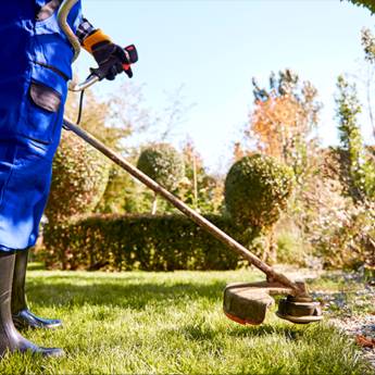 Comprar o produto de Jardinagem: Reforma de Jardim em Ribeirão Preto com Estilo em Jardinagem em Ribeirão Preto, SP por Solutudo