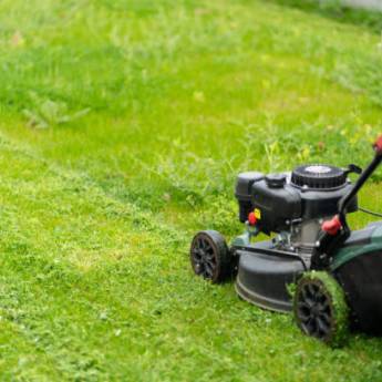 Comprar o produto de Jardim Sempre Bem Cuidado – Aluguel de Cortador de Grama Profissional em Ninho Verde II em Ferramentas para Jardim em Ninho Verde II Eco Residence, SP por Solutudo