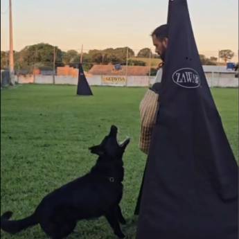 Comprar o produto de Esporte com Cães (IGP) em Belo Horizonte – Treinamento com Disciplina e Diversão em Adestramento em Mateus Leme, MG por Solutudo Comprar o produto de Esporte com Cães (IGP) em Belo Horizonte – Treinamento com Disciplina e Diversão em Adestramento em Mateus Leme, MG por Solutudo