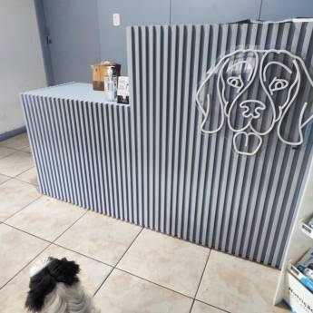 Comprar o produto de Transportes com Acompanhamento em Joinville – Segurança Pet em Serviços Pet em Joinville, SC por Solutudo