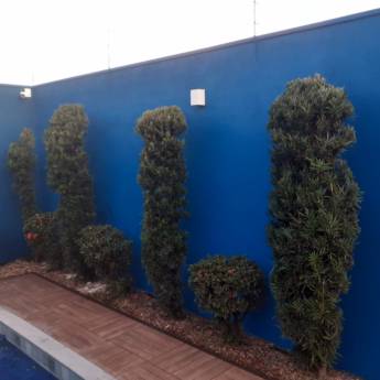 Comprar o produto de Ampliação de Imóveis em Bauru - SP em Construtoras em Bauru, SP por Solutudo Comprar o produto de Ampliação de Imóveis em Bauru - SP em Construtoras em Bauru, SP por Solutudo