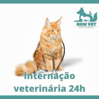 Comprar o produto de Internação veterinária 24h em Itapetininga em Veterinário em Itapetininga, SP por Solutudo