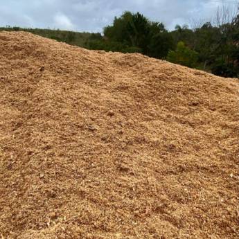 Comprar o produto de Venda de Pó de Serra a Granel em Ninho Verde II, SP em Madeireiras em Ninho Verde II Eco Residence, SP por Solutudo