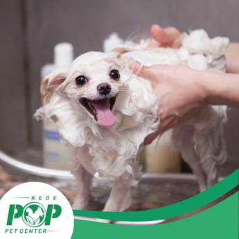 Comprar o produto de Banho e Tosa  em Banho e Tosa em Mineiros, GO por Solutudo Comprar o produto de Banho e Tosa  em Banho e Tosa em Mineiros, GO por Solutudo