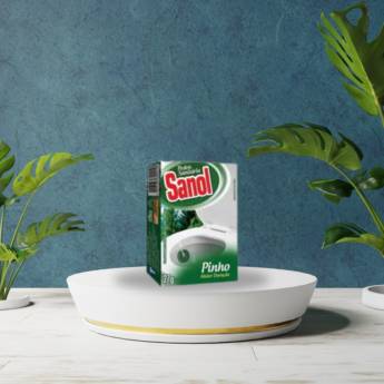 Comprar o produto de Pedra sanitária  em Produtos de Limpeza em Botucatu, SP por Solutudo