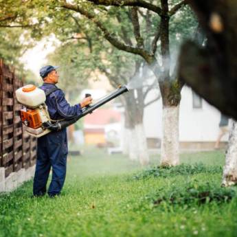 Comprar o produto de Controle de Mosquitos Eficiente – BCP em Barueri, SP em Dedetização em Barueri, SP por Solutudo